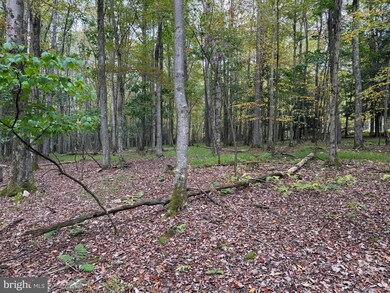 0 Lake Shore Dr unit MDGA2010464, Oakland, MD 21550 - photo 3