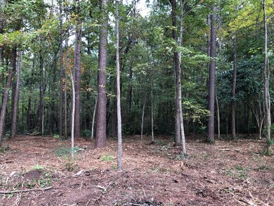 4575 Gray Ln, Evans, GA 30809 - photo 4