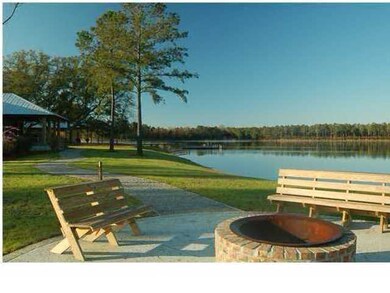 8 Longmarsh Rd, Awendaw, SC 29429 - photo 3