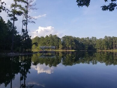 1037 Fleming Lake Ct, Lincolnton, GA 30817 - photo 2