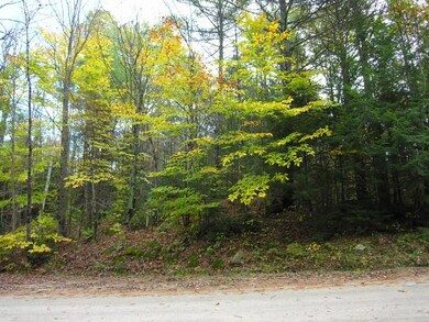 0 Ridge Rd unit 4516520, Newbury, NH 03255 - photo 3