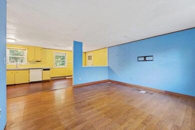 photos_high_resolution_9_irene_St_0122-1