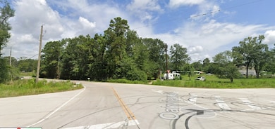 30002 Rosebud St, Magnolia, TX 77354 - photo 7