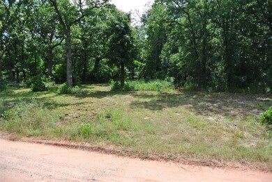 22356 Juanita Ln, Tecumseh, OK 74873 - photo 6