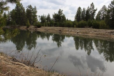 View of Pond From Back of Lot