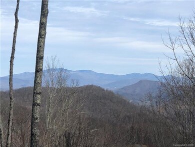 199 Overlook Dr unit 12, Mars Hill, NC 28754 - photo 5