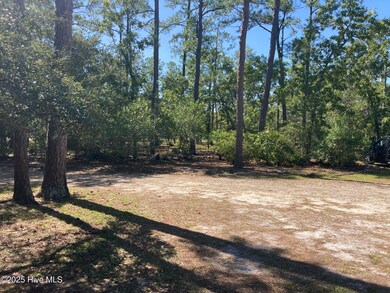 267 Watts Landing Rd, Hampstead, NC 28443 - photo 3