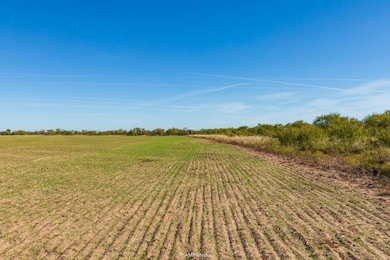 Fm2142, Hamlin, TX 79520 - photo 3