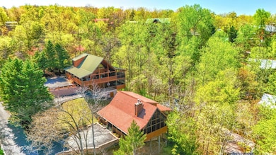 Moose on the Loose Overhead VIew