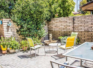 patio (1 of 1)