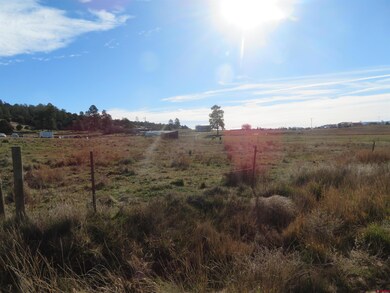 4086 County Road 700, Pagosa Springs, CO 81147 - photo 5