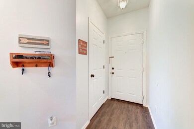 4404 Helmsford Ln unit 203, Fairfax, VA 22033 - photo 4