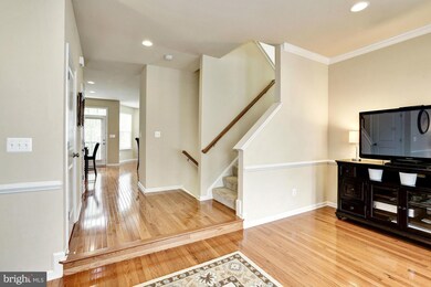 25238 Demilton Terrace, Chantilly, VA 20152 - photo 2