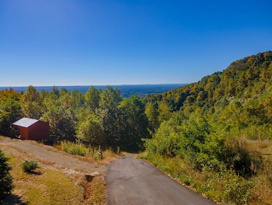 50 Acres Spring Valley Rd, Fancy Gap, VA 24328 - photo 2