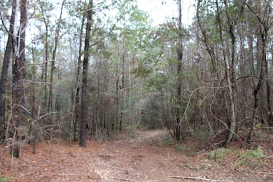 100AC County Highway 183, Ponce de Leon, FL 32455 - photo 4