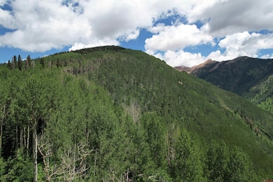 TBD Forest Service Road 567, Mancos, CO 81328 - photo 2