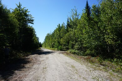road from main road to lot