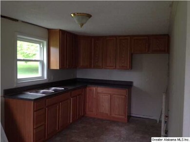 KITCHEN - NEW CABINETS