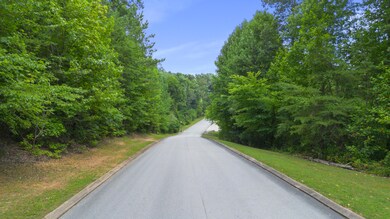 DJI_0356