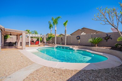 Backyard Oasis