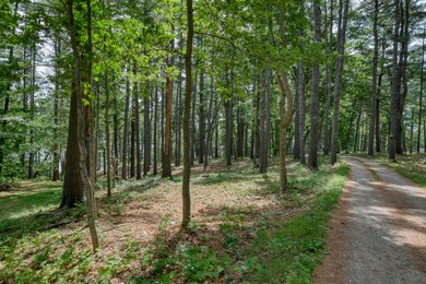 Perkins_Point_Road_9517