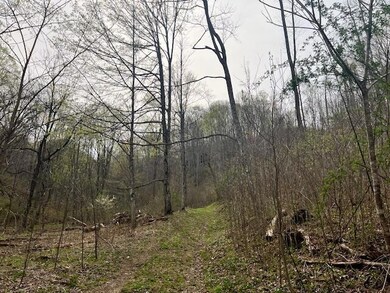 362 Band of Hope Rd unit Tract 1, Renick, WV 24966 - photo 5