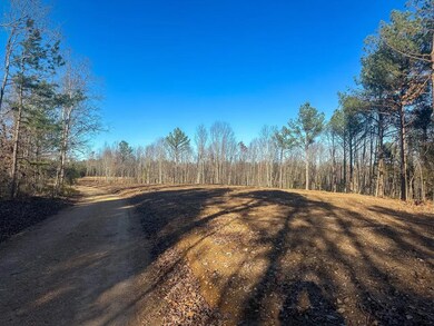 0 Firetower Rd unit 4, Centerville, TN 37033 - photo 3