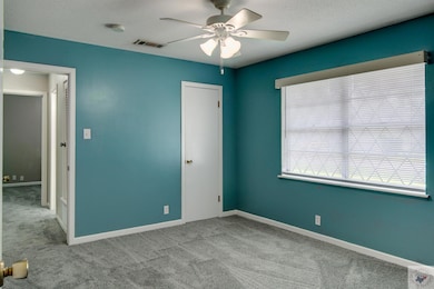 809 Hawkins Ave, Wake Village, TX 75501 - photo 4