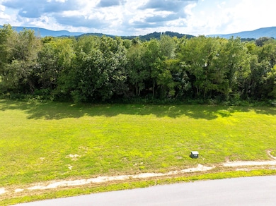 195 Angel Oak Dr, Dunlap, TN 37327 - photo 2