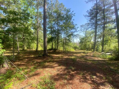 10705 Fm 1409 East Side, Dayton, TX 77535 - photo 3