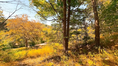 16932 State Route 335, Beaver, OH 45613 - photo 5