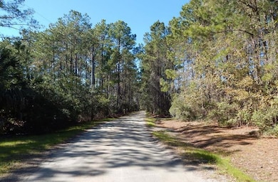 0 Crooked Creek Ln unit 25025266, Edisto Island, SC 29438 - photo 2