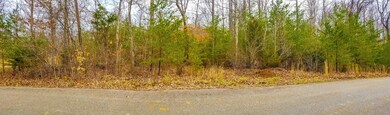 00 Pl Colyer Rd, Somerset, KY 42503 - photo 6