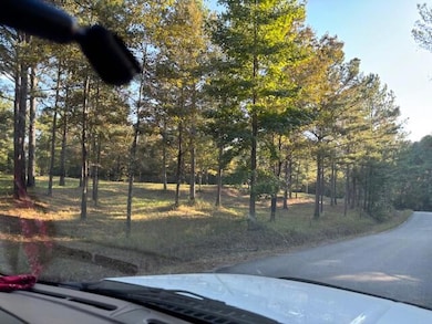 88 Cr 32, Dennis, MS 38838 - photo 7