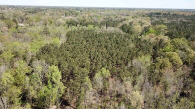 000 U S 79, Pine Bluff, AR 71603 - photo 6