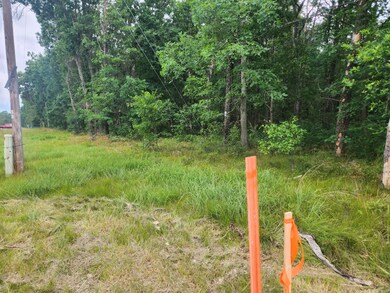 Parcel A W 16th St, Baldwin, MI 49304 - photo 5