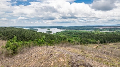 0 C R 658, Kirby, AR 71950 - photo 5