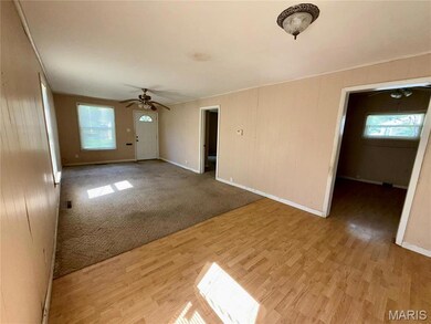 802 E Main St, Christopher, IL 62822 - photo 5