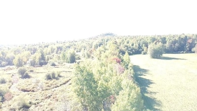 Center tree line is the R.O.W.