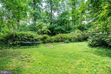 305 Lincoln Ave, Falls Church, VA 22046 - photo 7