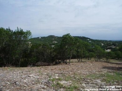 9115 Mule Train, San Antonio, TX 78255 - photo 3