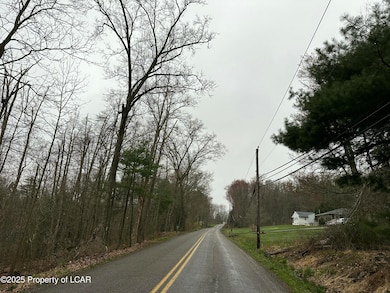 0 Pond Hill Mountain Rd unit 25-171, Wapwallopen, PA 18660 - photo 3