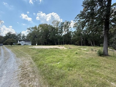 110 Magnolia Dr, McIntyre, GA 31054 - photo 3