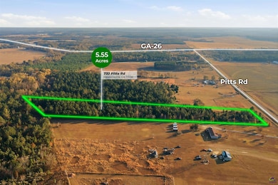 733 Pitts Rd, Hawkinsville, GA 31036 - photo 2
