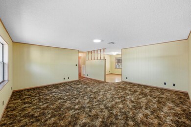 203 Broadmoor Dr, Fredericksburg, TX 78624 - photo 5