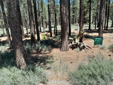 202 Village Trail unit Roark Lot 036, Portola, CA 96122 - photo 3