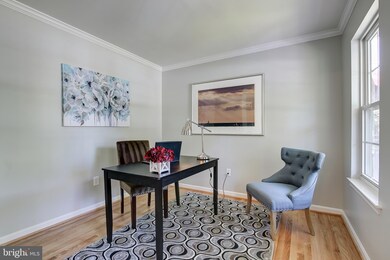 8412 Flower Ave, Takoma Park, MD 20912 - photo 6