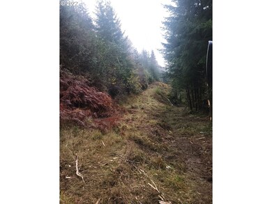 0 Pleasant Valley Rd unit 22531177, Myrtle Point, OR 97458 - photo 4