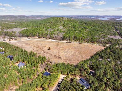 Bird's eye view featuring a wooded view
