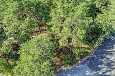 25 Dawnslight, Plymouth, MA 02360 - photo 2